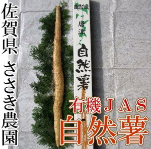 R p1{(1kgO)(ꌧ _)L@JAS_ Yn