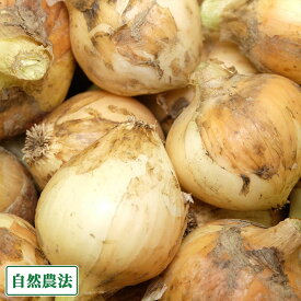 【サイズ混合】 無肥料栽培 新玉ねぎ 5kg 自然農法 (兵庫県淡路島 花岡農恵園) 産地直送
