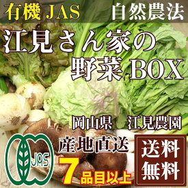 江見さん家の野菜BOX 自然農法 有機JAS (岡山県 江見農園) 産地直送