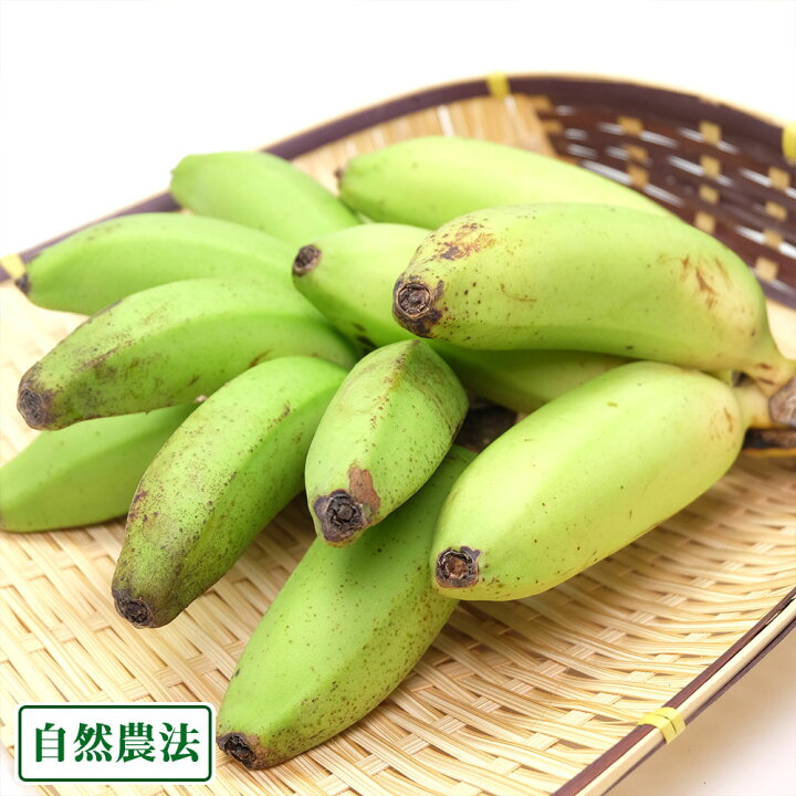 楽天市場】石垣島バナナ 1kg 自然農法 (沖縄県 石垣島無農薬自然農場 