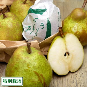 y12P10{vGg[z IEtX@p4`5LTCY 3kg ʍ͔| (R`Y XJʎ) Yn