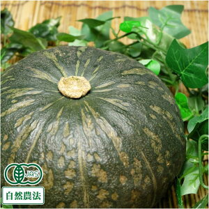 Iڂ(ubÑW[) 10kg×2 L@JAS R_@ (kC ͂邩_) Yn J{`