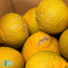 【ポイント10倍★エントリー必須】【B品・セール】有機スイートスプリング 10kg 有機JAS (佐賀県 佐藤農場株式会社) 産地直送