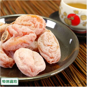 y\zy12P10{vGg[zy12P10{vGg[z`(sc`) 1.6kg(8×8pbN) ʍ͔| (쌧 є_) Yn