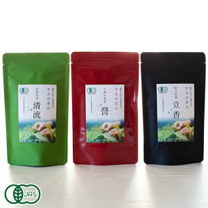 y10P10{IvGg[z邪S _EEZbg (É 邪L@_ꋦg)L@JAS_򒃗tgp Yn