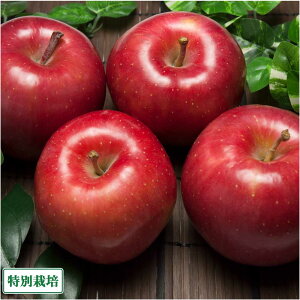 【10月中はP10倍!要エントリー】青森健康りんご(赤) A品 5kg箱 特別栽培 (青森県 田村りんご農園) 産地直送