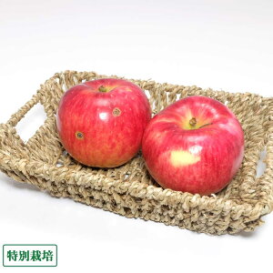 【10月中はP10倍!要エントリー】【訳あり】青森りんご(赤) 3kg 特別栽培 (青森県 田村りんご農園) 産地直送