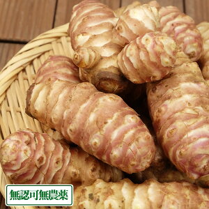 e 5kg (䌧 悵ނ_) F_ Yn