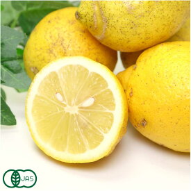 【A・Bサイズ混合】 有機 レモン(リスボン) 3kg 有機JAS (神奈川県 山下農園) 産地直送