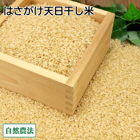 【令和7年度産】田口さんちのはさがけ天日干し米(つがるロマン) 玄米 5kg 自然農法 (青森県 だんごっこファーム) 産地直送