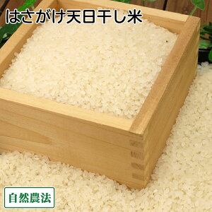 y12P10{vGg[z yߘa7NxYzc񂿂̂͂V(܂)  5kg R_@ (X 񂲂t@[) Yn