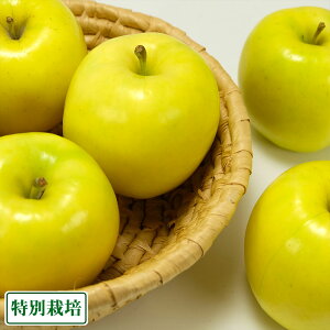 y11P10{vGg[ẑ₫ Gi 5kg ʍ͔| (X _)  Yn