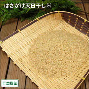 yߘa7NxYzc񂿂̂͂V(AlR)  10kg R_@ (X 񂲂t@[) Yn