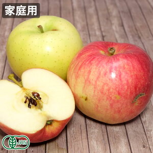 y\EƒpzL@Tӂ  2FZbg 5kg L@JAS (X k_)