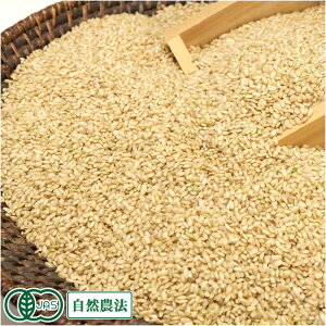 y11P10{vGg[zyߘa7NxYẑԂ  20kg L@JAS R_@ ({錧 䂽̔_) Yn