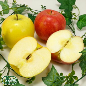 y\EƒpEʁzL@ Tӂ  2FZbg  8kg L@JAS (X k_) Yn