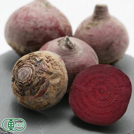 楽天市場 ビーツ 野菜 きのこ 食品 の通販