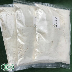 自然栽培小麦粉(中力粉)南部小麦 3kg 有機JAS (青森県 SKOS合同会社) 産地直送