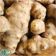 【有機】 菊芋 きくいも 洗い 1kg キクイモ オーガニック 野菜 有機野菜 有機JAS (青森県 あおぞら農園) …