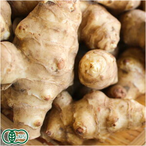 y11P10{vGg[ze  1kg L@JAS (X _) Yn