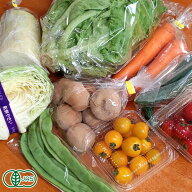 【クール便】せっちゃんの有機野菜セット｜有機JAS認証 オーガニック｜農薬・化学肥料不使用｜旬の野菜詰…