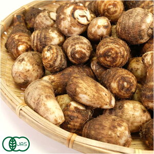 yTCYzy11P10{vGg[z L@  5kg L@JAS (t ЂтW) Yn