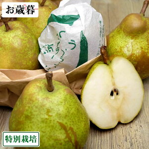 yΕpzIEtX@p4`5LTCY 3kg ʍ͔| (R`Y XJʎ) Yn