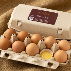 平飼いたまご 10個×3パック (北海道 Farm Agricola) 産地直送 アグリコラ 卵