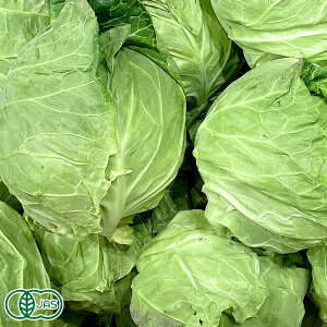 キャベツ 農薬 食品の人気商品 通販 価格比較 価格 Com キャベツ 農薬 食品の人気商品 通販 価格比較 価格 Com