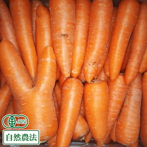 yS`2STCYzL@ ɂ񂶂 () 5kg L@JASER_@ (X 앗_) Yn N[֑I\