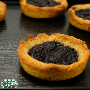 y11P10{vGg[zyN[Ⓚz L@ u[x[^g 4 L@JAS (X@SKOS)