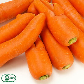 【12月はP10倍★要エントリー】【セール・B品・訳あり】有機北海道にんじん(洗い) 10kg 有機JAS (北海道 斎藤農場) 産地直送
