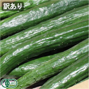 i摜