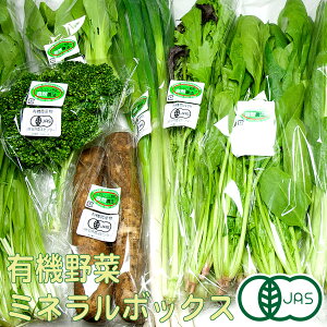 y11P10{vGg[z~l{bNX L@JAS؋lߍ킹BR[X(X@͂܂ȂYg)_I[KjbN؃ZbgEEN[֖