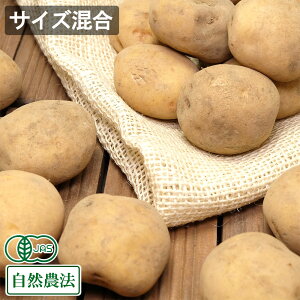 yTCYz L@Ⴊ Ƃ 10kg L@JAS R_@ (kC ͂邩_) Yn WKC