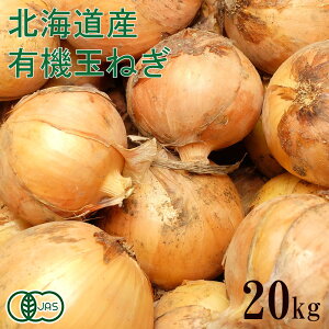 y10P10{IvGg[zykCYz L@ ʂ˂ 20kg L@JAS (kC ͂邩_) YnyTCYIʁz