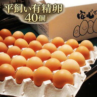 広島県産 平飼い有精卵40個 生産者応援企画 送料無料 はやしなちゅらるふぁーむ