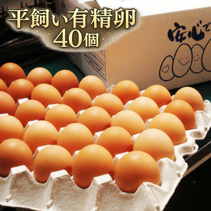 広島県産 平飼い有精卵40個 生産者応援企画 送料無料 はやしなちゅらるふぁーむ ふるさと