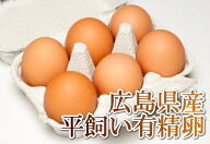 平飼い有精卵36個（6個×6P）送料無料 生産者応援企画(広島県　はやしなちゅらるふぁーむ)