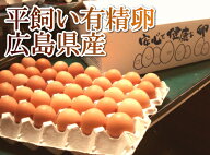 平飼い有精卵80個 生産者応援企画 送料無料　はやしなちゅらるふぁーむ