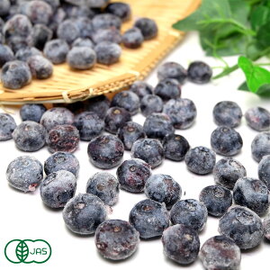 y11P10{vGg[zyN[Ⓚցz ⓀL@u[x[(ƒp) 500g×2pbN L@JAS (茧 SΉvX)