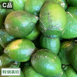 yCiE󂠂z() w̍x 5kg ʍ͔| (F{ IWqY) Yn