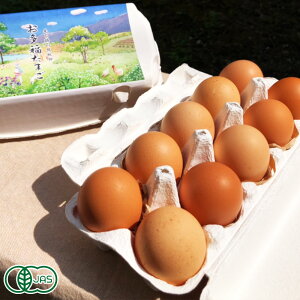 y11P10{vGg[zI[KjbNqu܂v 10×6pbN L@JAS ( Rqꂨ܂) Yn ܂