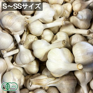 y11P10{vGg[zyS`SSTCYzL@ ɂɂ 1kg L@JAS@(X Ryosuke Oyasai) Yn