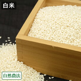 【令和7年度産】もち米(こがねもち) 白米 5kg 自然農法 (山形県 佐藤農園) 産地直送