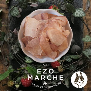 q`bv 10giLpjkCY L  Y Y L̂VYJ sizuka G]}VF Lbgt[h ybg D   T[ W[L[ 畆 j_ DNA ܂₯ VjA 