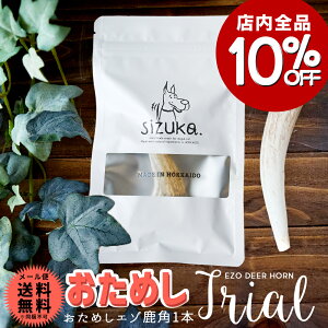 yXSi10OFF12/4-12/11z߂G]pkCY   Y Y hbOt[h ybg D K  d@  ݂ p ̊p   gCA f^