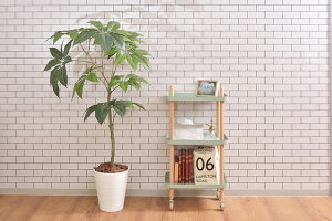 J S3D O[ gKvi PW-53GR J AZUMAYA 3i 3D }` Lb` S TCh iCg e[u xbh TCh LX^[ g[ ؐ VR k i` Vv 킢