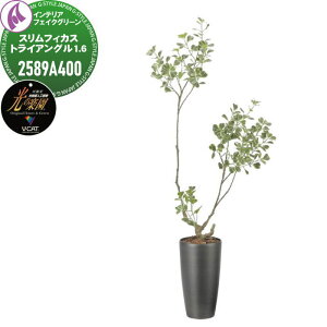 yTΏہz G}lHA ЃA[gNGCV CeA tFCNO[ X^h^Cv XtBJXgCAO1.6m 2589A400 ̊y L R h C