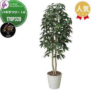 �y���������T�Ώہz ���G�}�l�H�A�� ������ЃA�[�g�N���G�C�V���� �C���e���A �t�F�C�N�O���[�� �X�^�C���b�V���O���[�� �p�L���c���[ 1.6m 170P320 ���̊y�� ���L �R�� �h�� ��C�� PIAJ V-CA